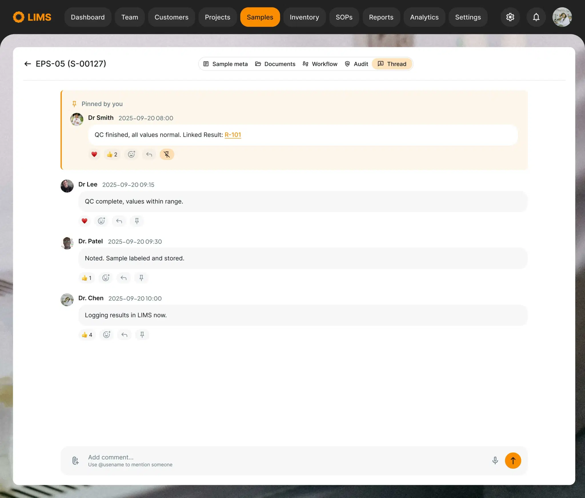 Pinned storage instruction at the top of a contextual chat thread