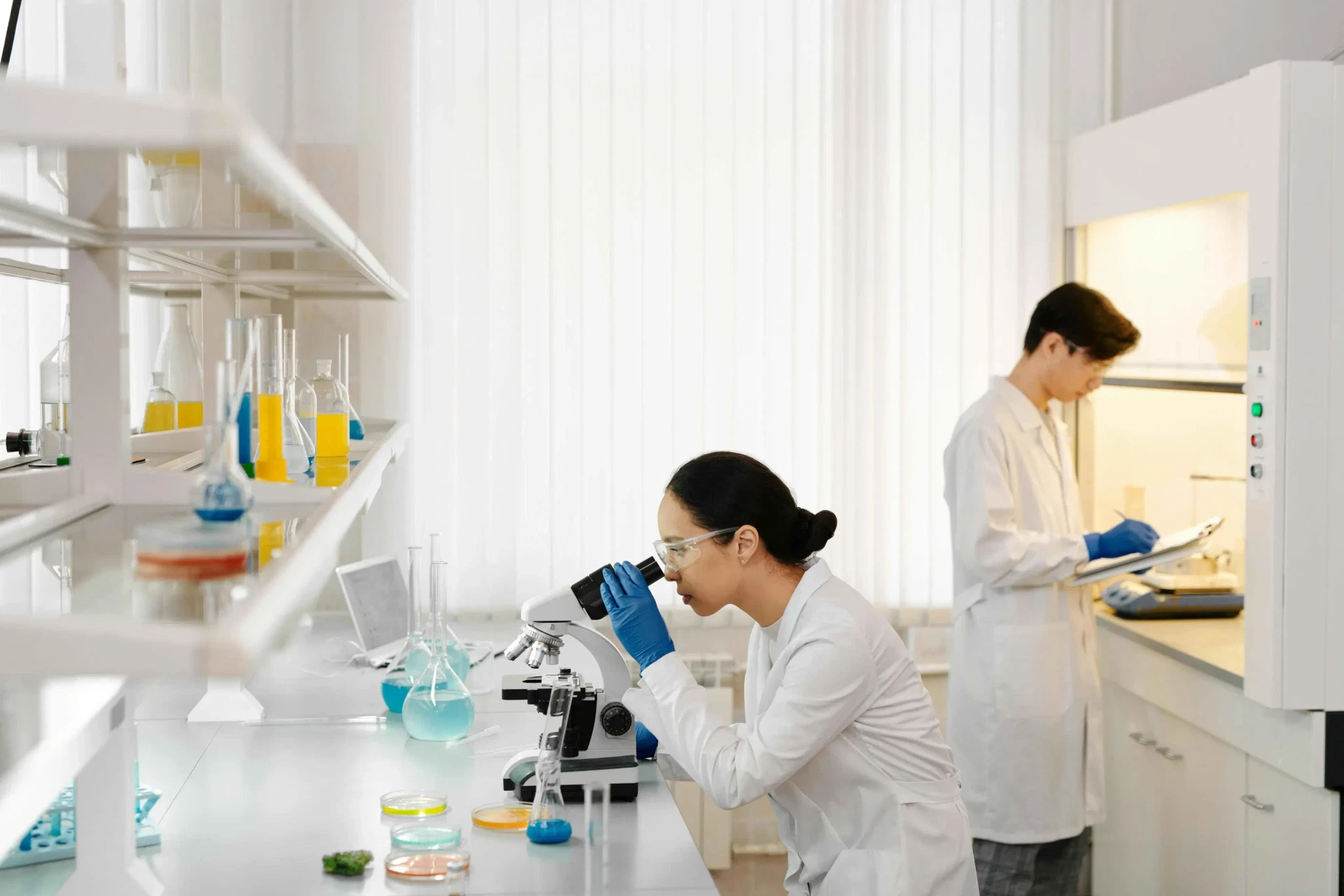 How to choose between lab management software options